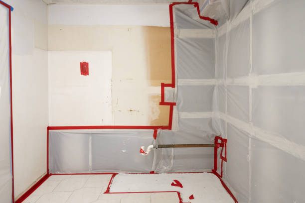 Biohazard Mold Removal in Masonville, KY
