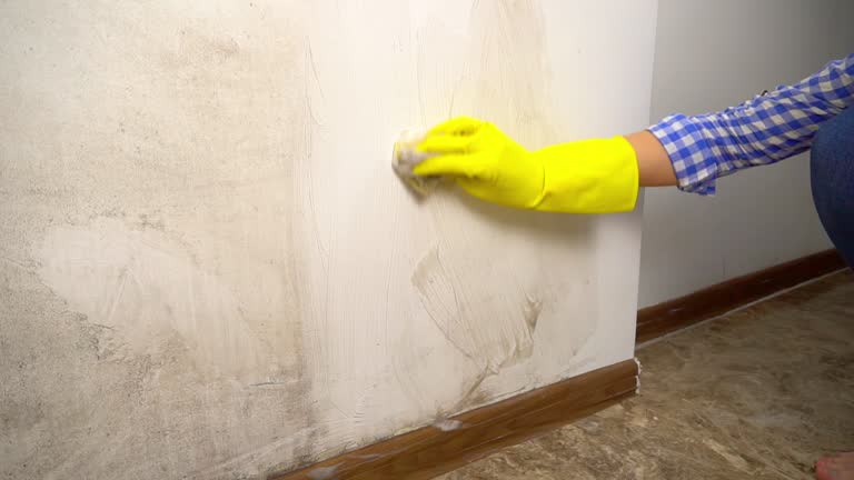 Best Indoor Air Quality Assessment  in Masonville, KY