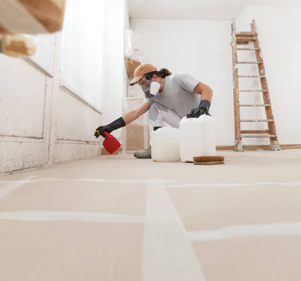 Best Mold Remediation for Healthcare Facilities  in Masonville, KY